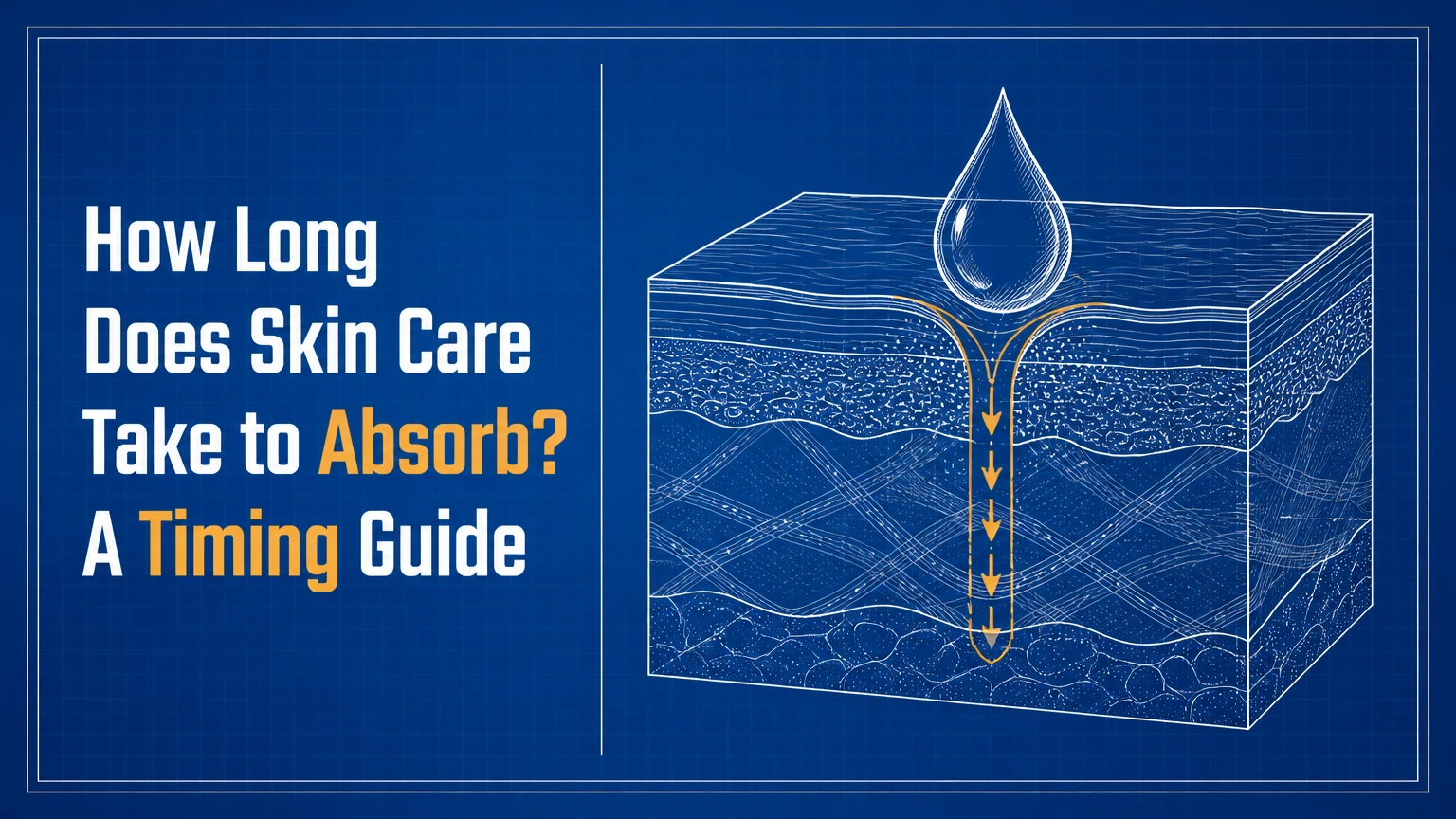 how long does skin care take to absorb